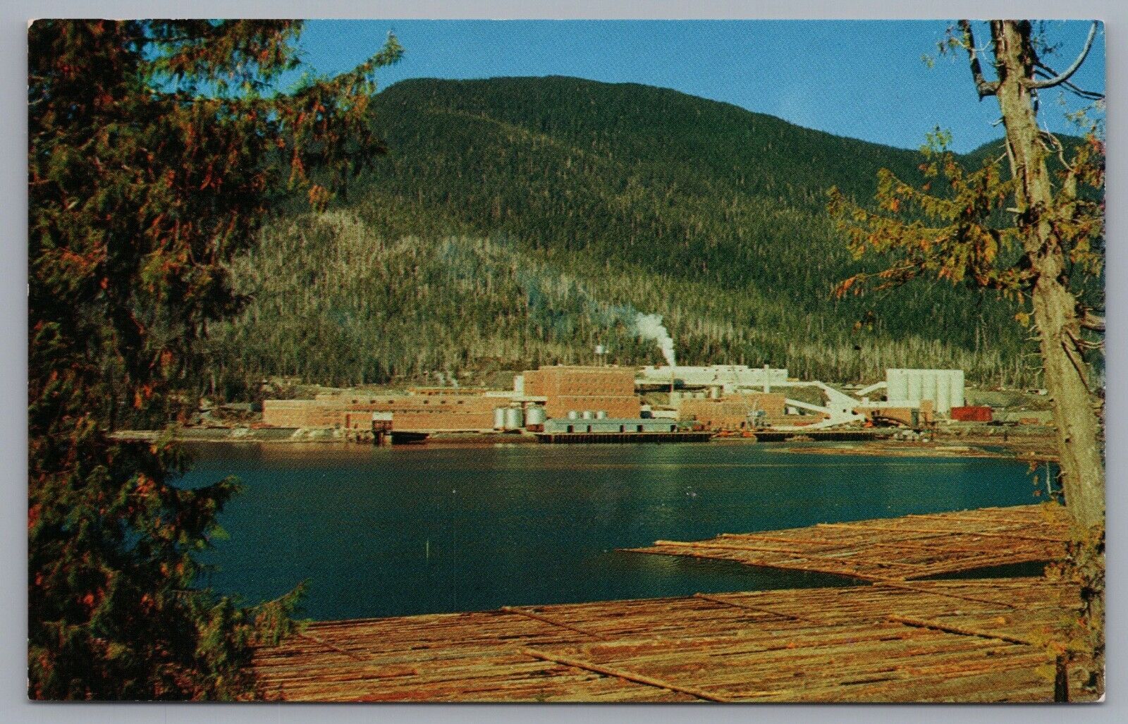 Ketchikan Pulp Co. Mill Ward Cove Ketchikan Alaska Postcard
