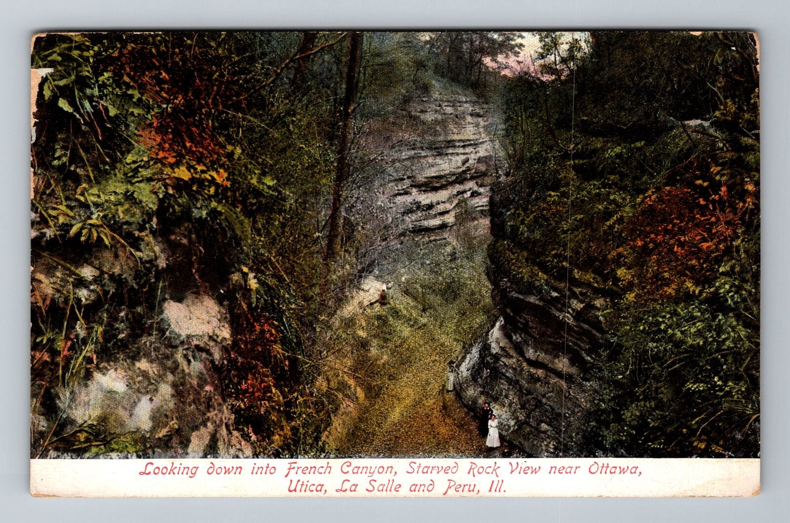 Ottawa IL-Illinois, French Canyon, Starved Rock Vintage Souvenir Postcard