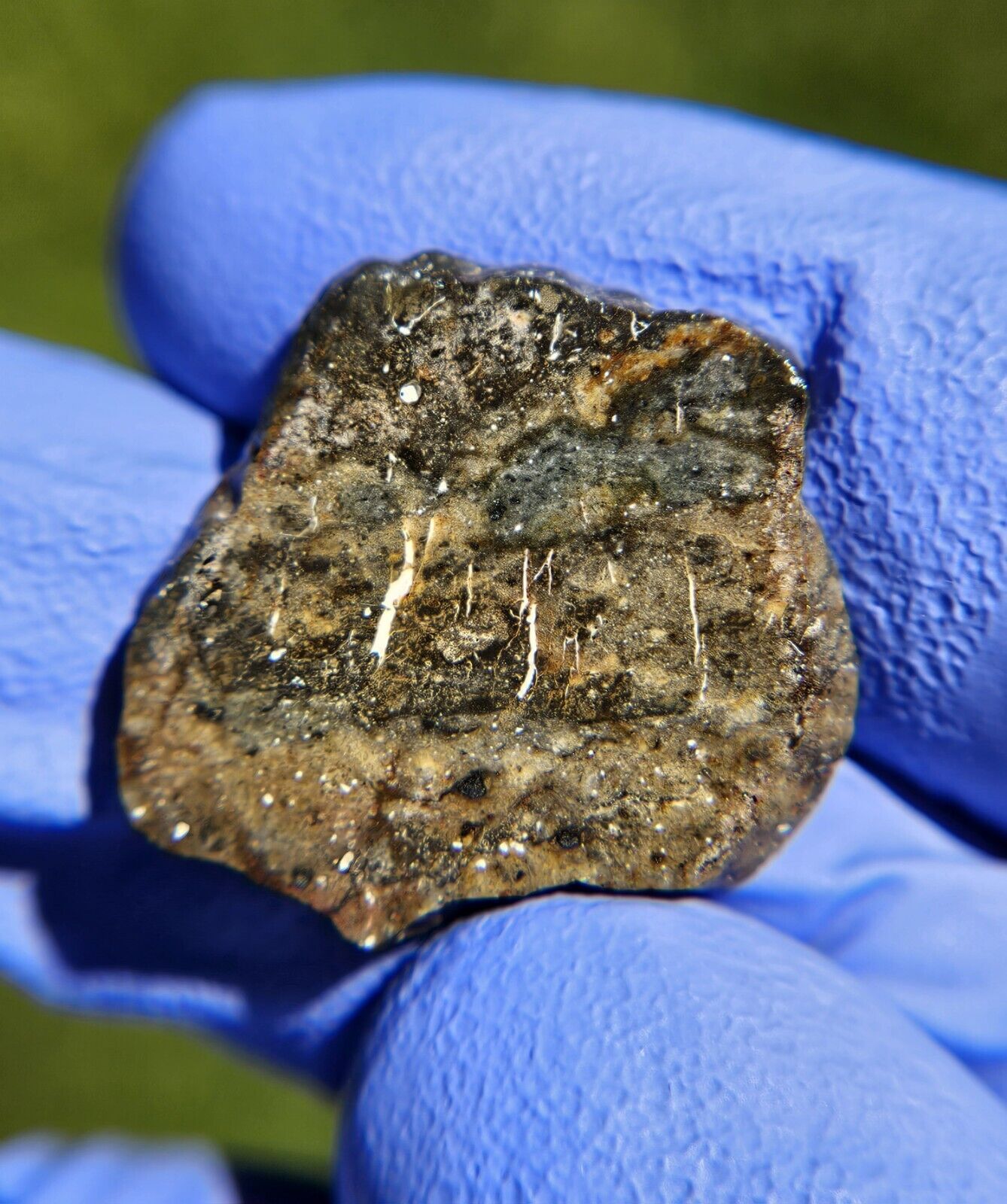 Meteorite**NWA 13788, LUNAR MELT BRECCIA**1.646 gram Lunar Individual