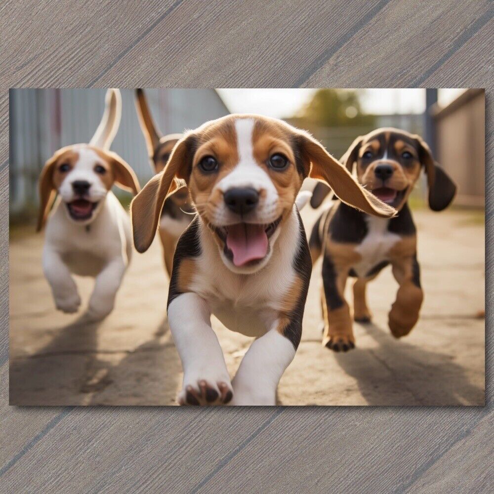 POSTCARD Energetic Beagle Puppies in Playful Sprint Canine Frolics 🐾🐶🏃