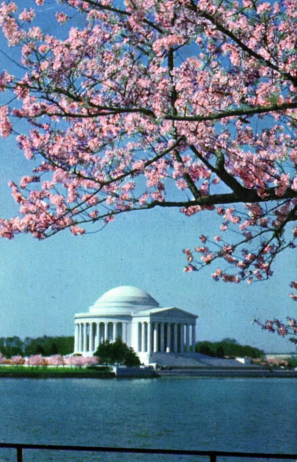 Jefferson Memorial Washington DC Posted Monument Vintage Chrome Post Card
