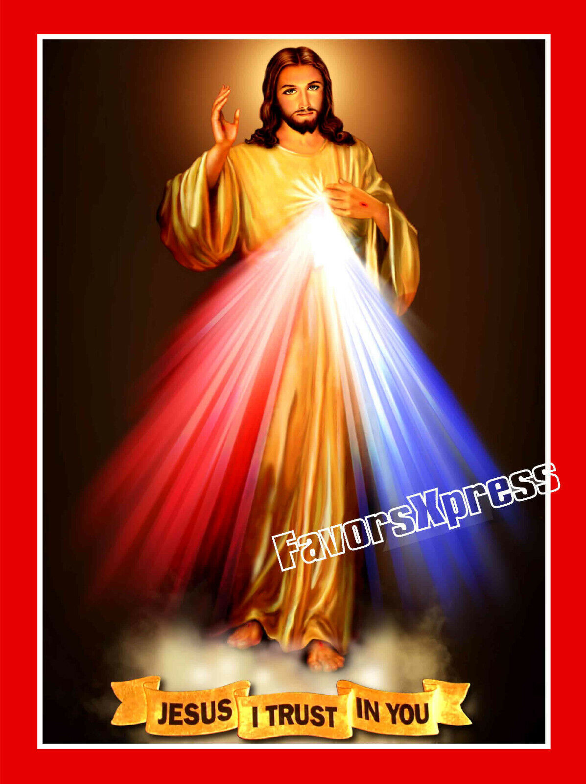 Jesus Divine Mercy MAGNET ~ Catholic GIFT 4 x 3 inches