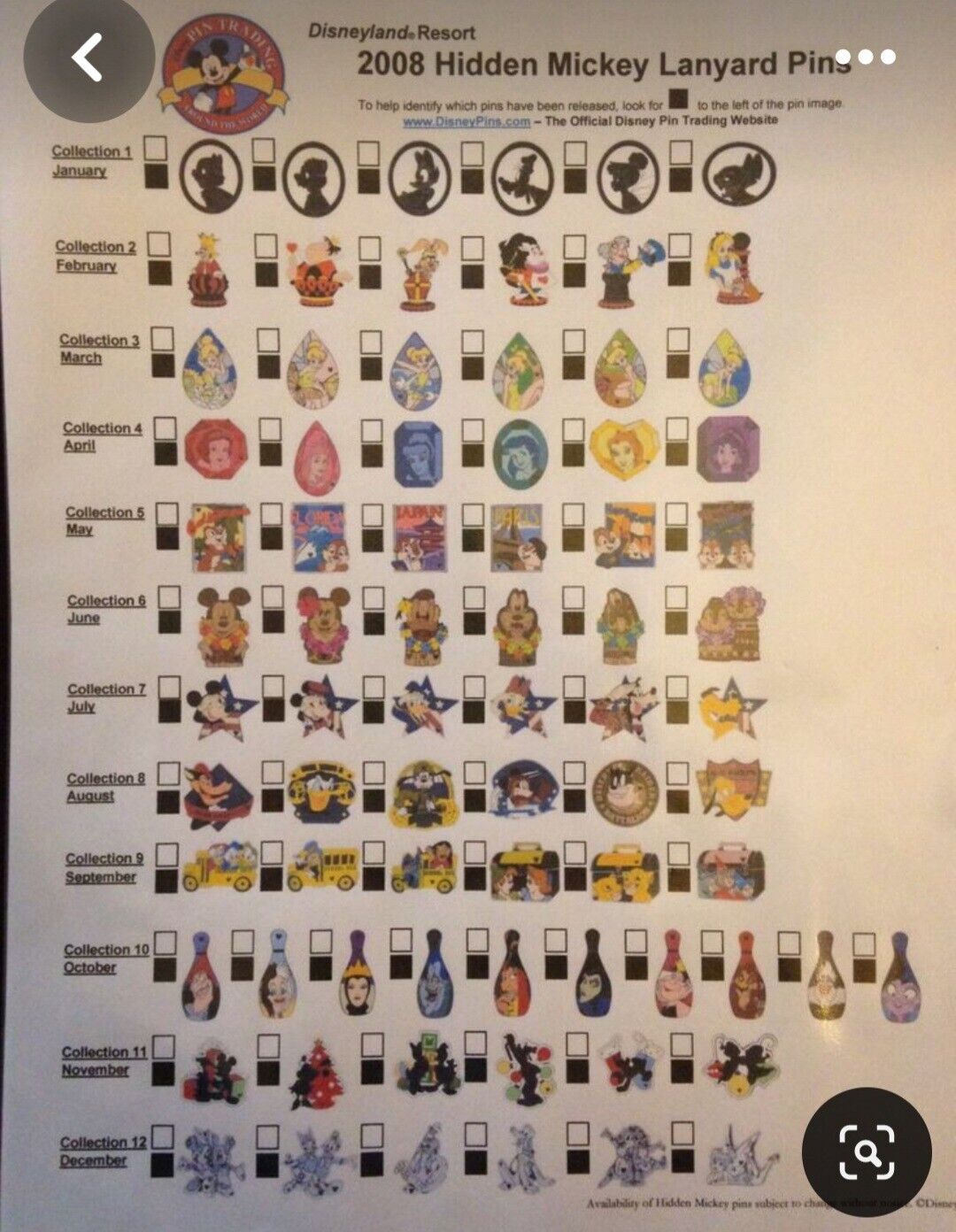 2008 Hidden Mickey Lanyard Pin Whole Set - All In Large Cast Member Pin Bag