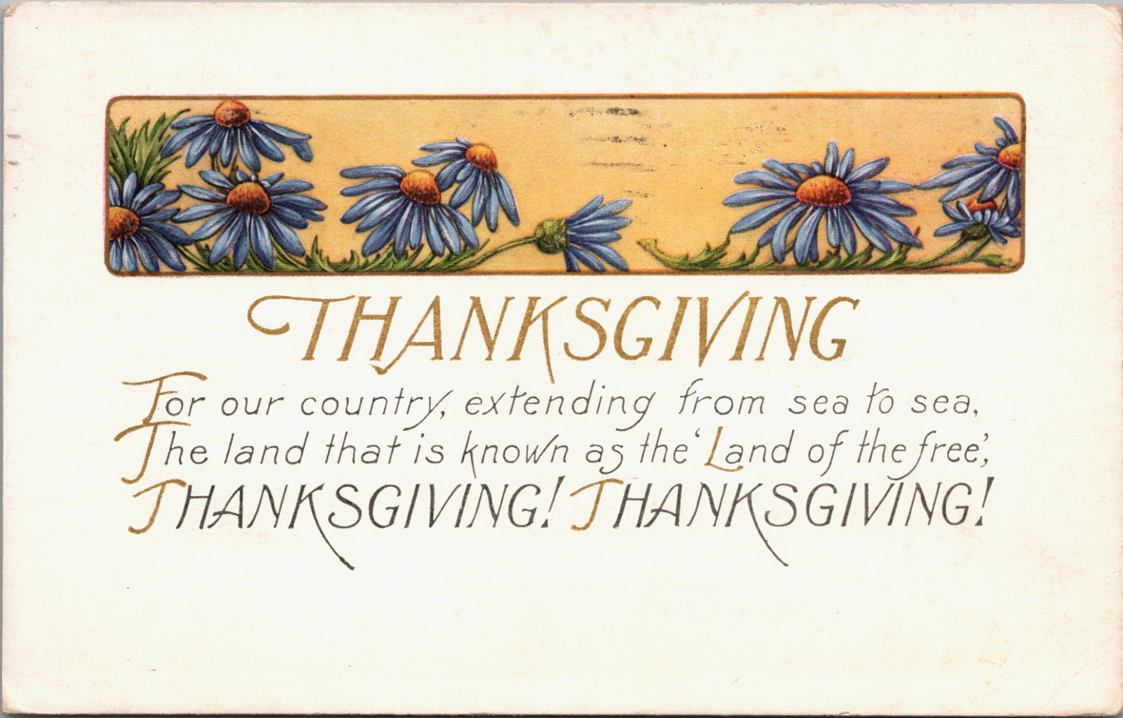 Thanksgiving 1919 Embossed Blue Daisies Land of Free Whitney Vintage Postcard