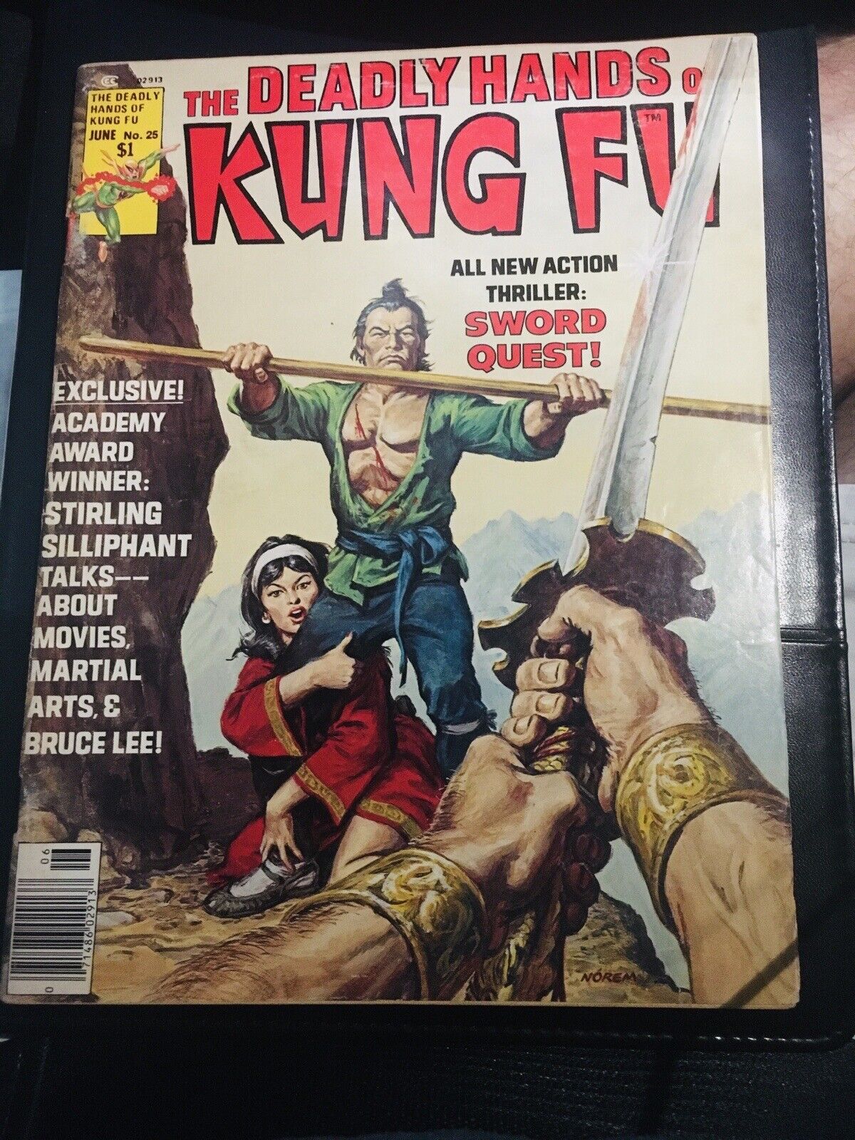 Deadly Hands of Kung Fu #25 (Marvel 1976)