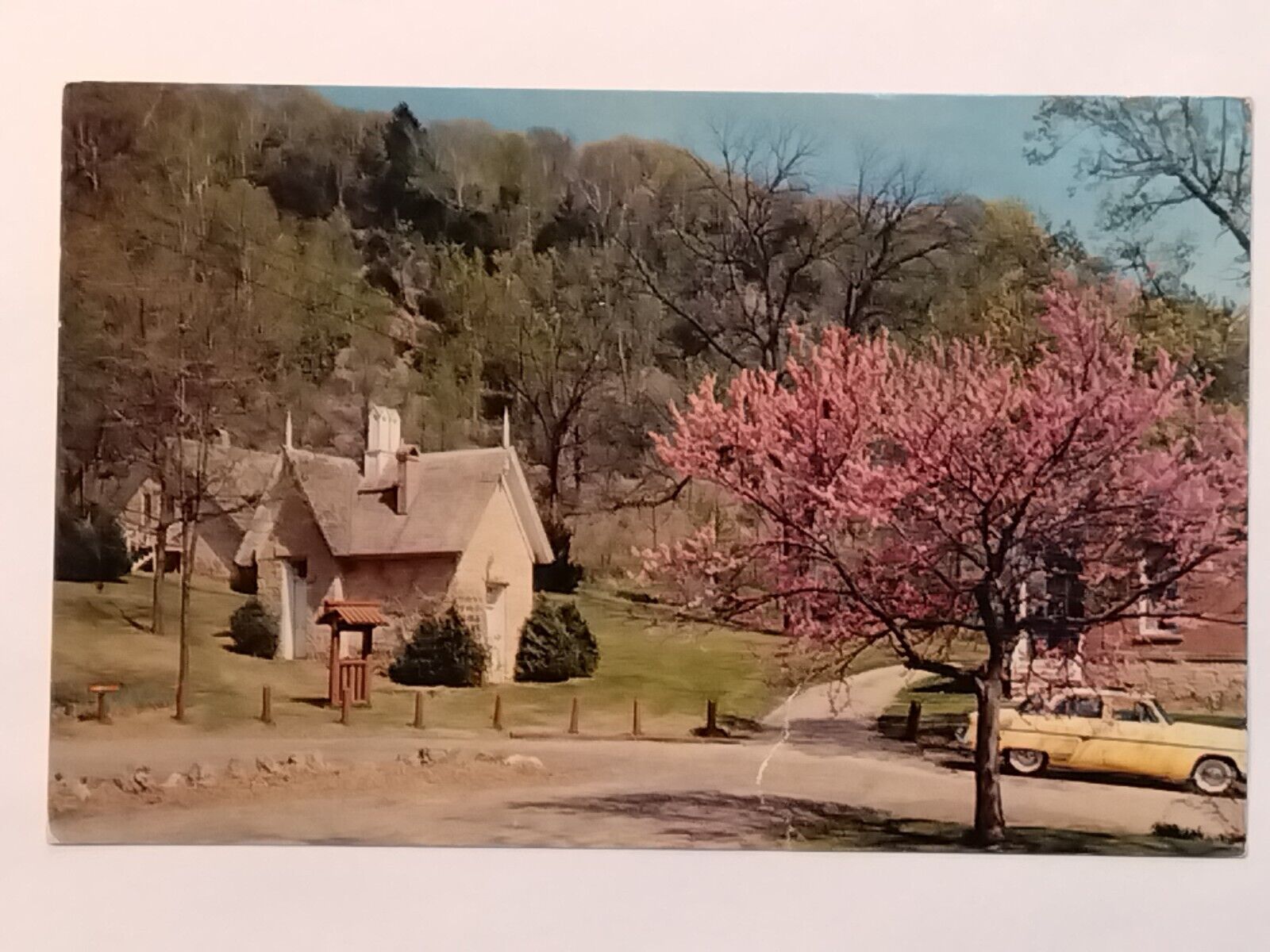 StoneField Cassville Redbud Welcomes Spring First Governor Wisconsin  Postcard