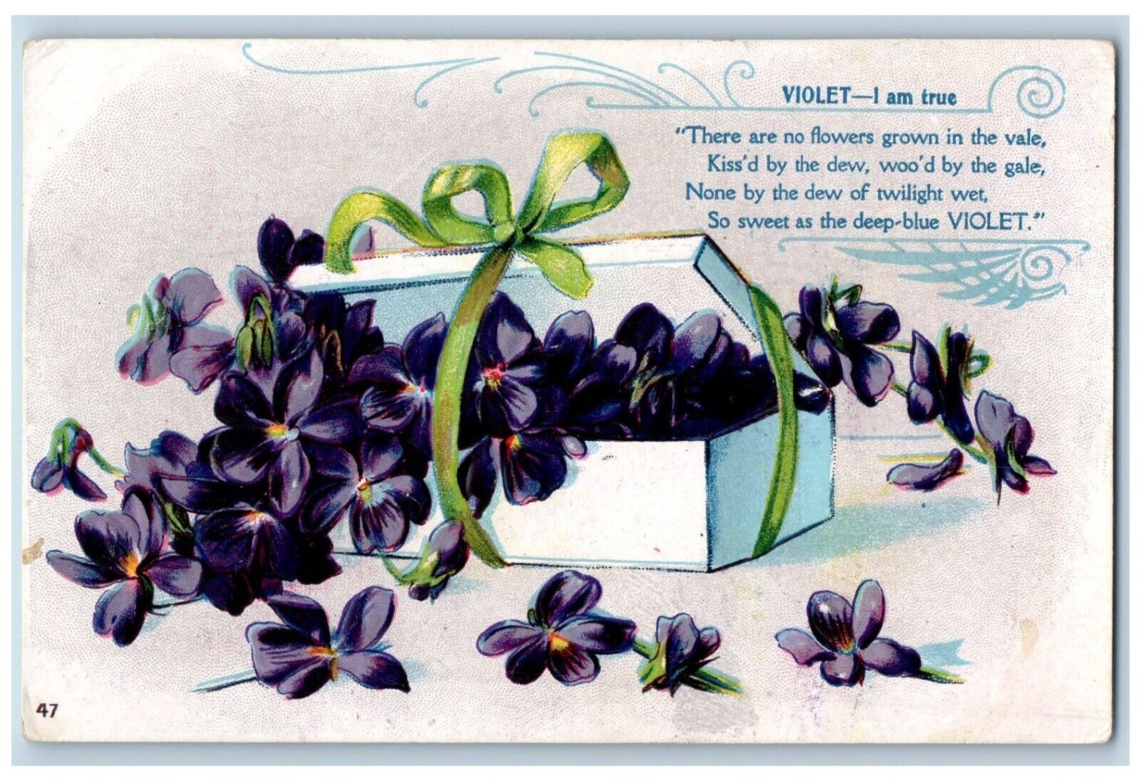 Language Of Flowers Romance Postcard Violet I Am True Embossed Tacoma WA 1913