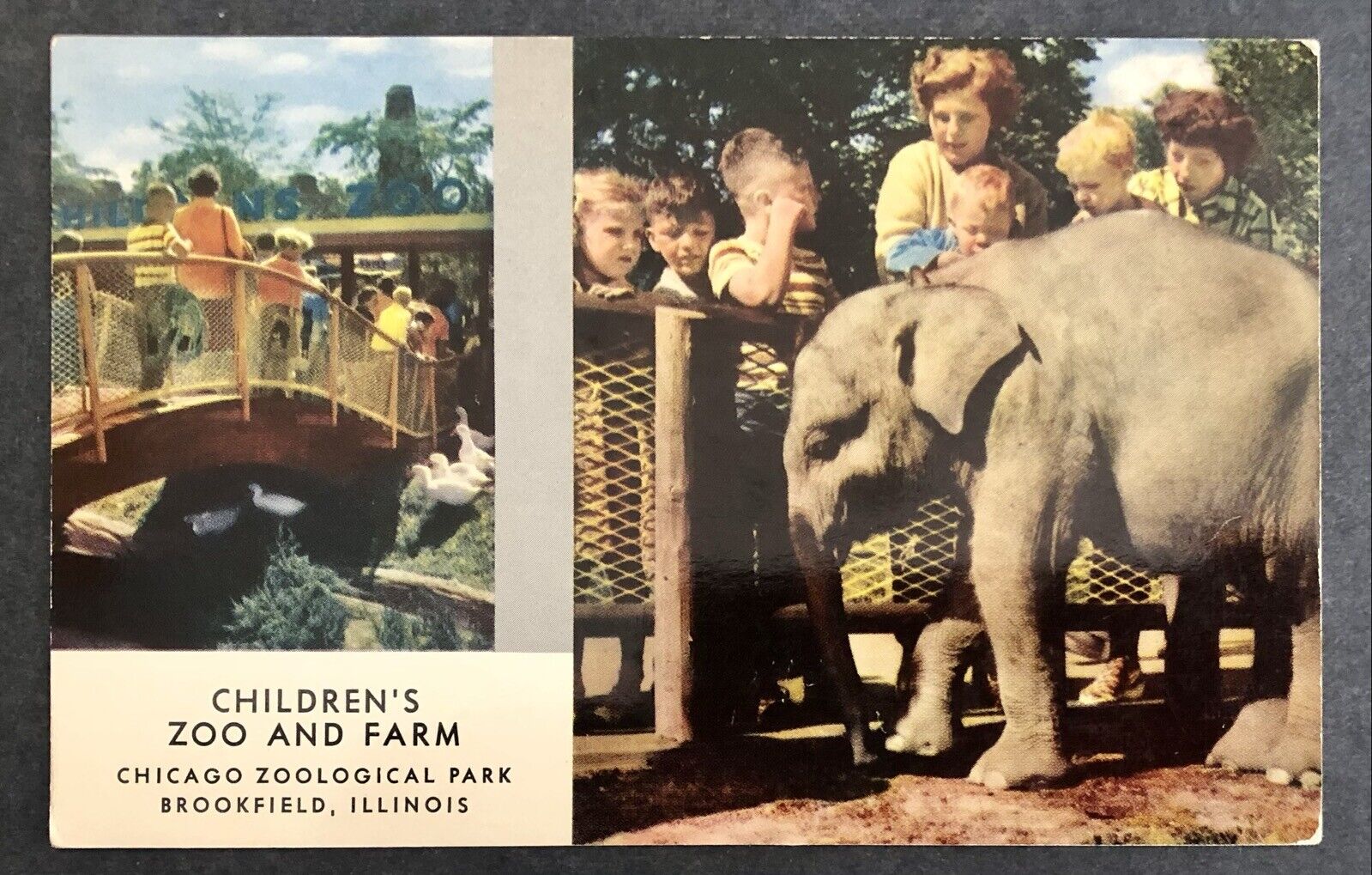 CHICAGO ZOOLOGICAL PARK, BROOKFIELD, IL ~ CHILDREN\'S ZOO & FARM postcard