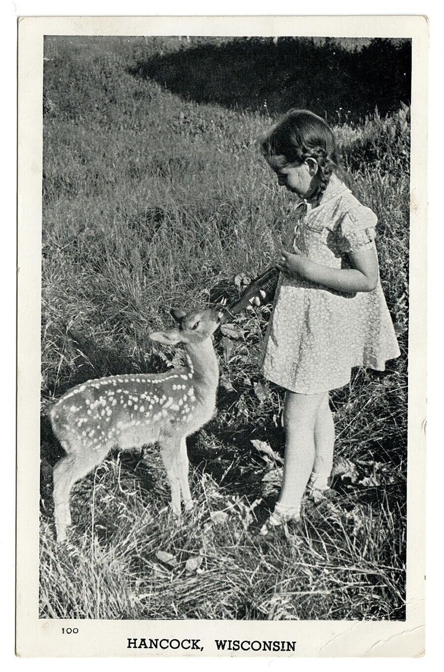 Vintage Postcard Girl Feeding Young Deer Fawn Hancock Wisconsin WI