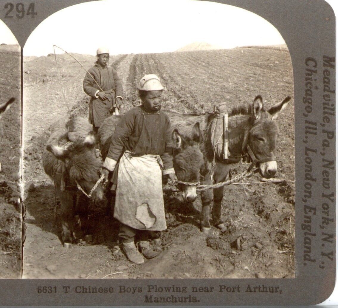 CHINA, Boys Plowing near Port Arthur, Manchuria--Stereoview PR36