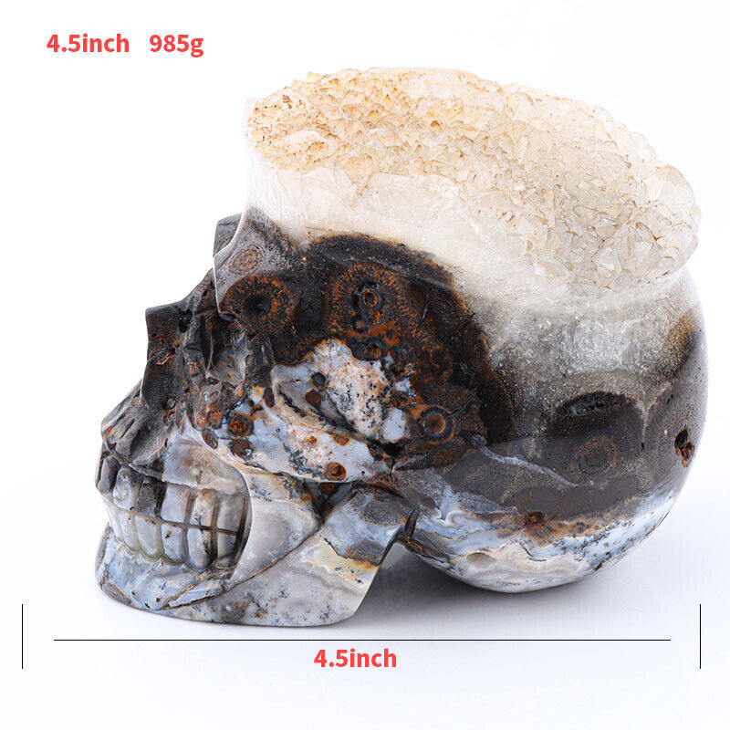 4.5'' Natural Geode AGATE Carved Realistic - Skulls Gemstone & Crystal
