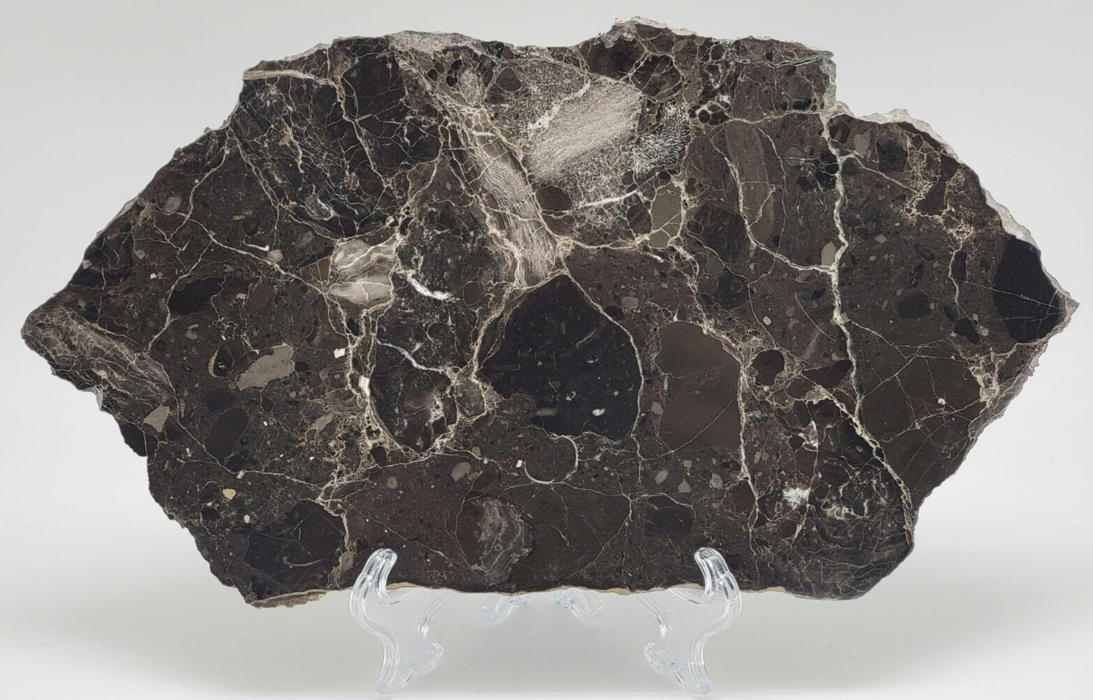Alamo meteorite Impact Breccia from Nevada - Polished on one side 464.2g