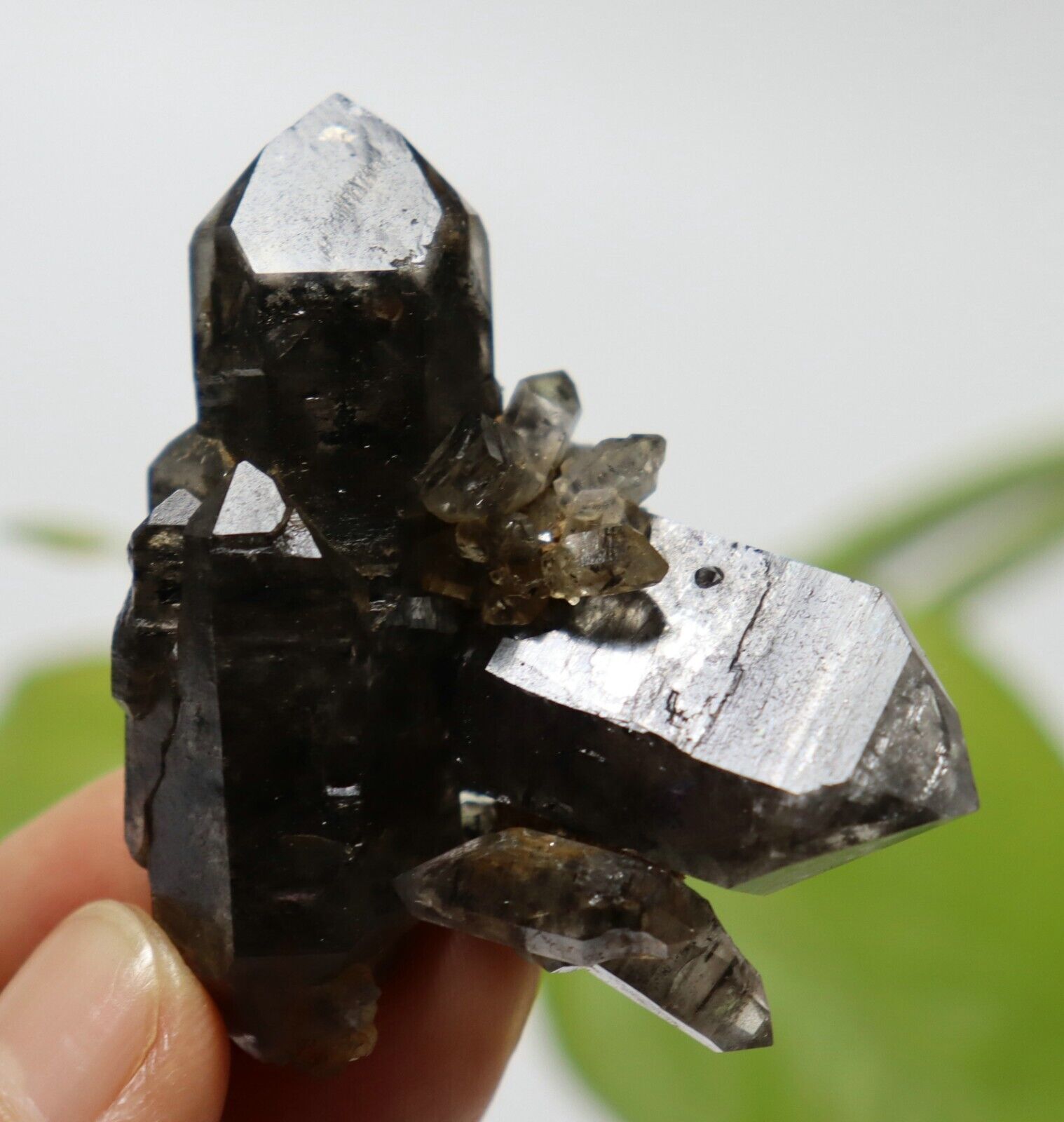 44.9g  Unique NATURAL skeletal Elestial QUARTZ Crystal Double End Specimen