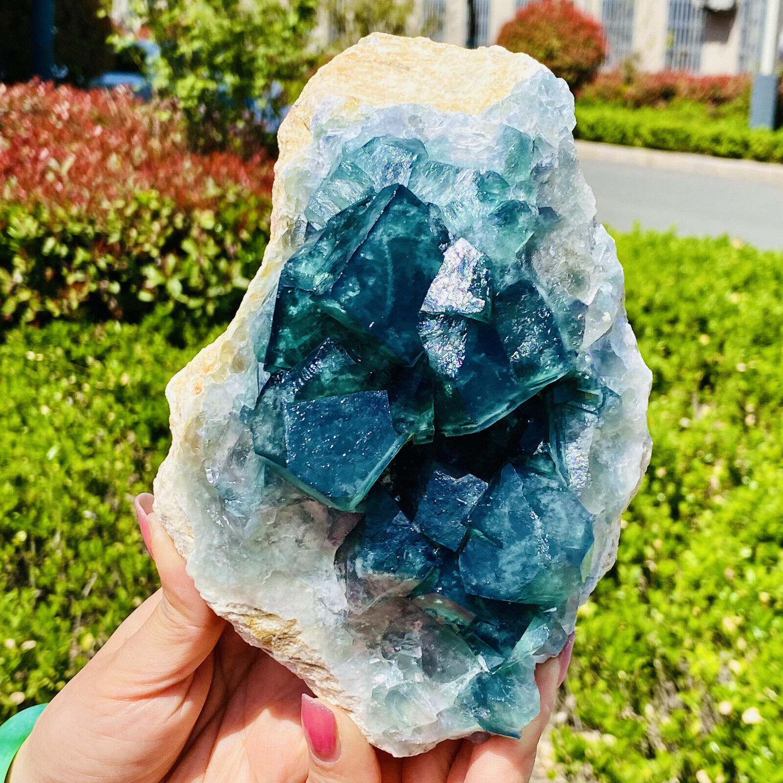 3.96LB Natural green cubic fluorite quartz crystal mineral specimen