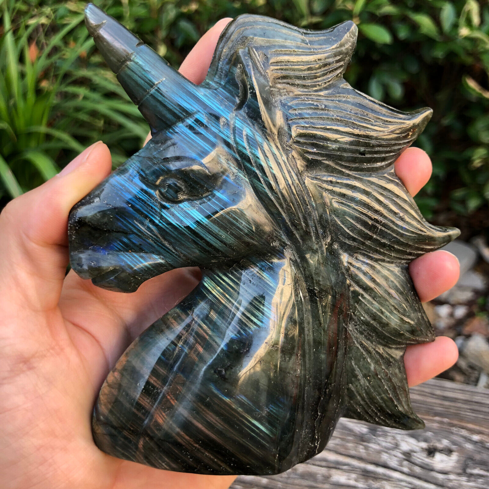 0.9LB 4.7''Natural Labradorite Unicorn Quartz Crystal Decor Craft Gift Flash