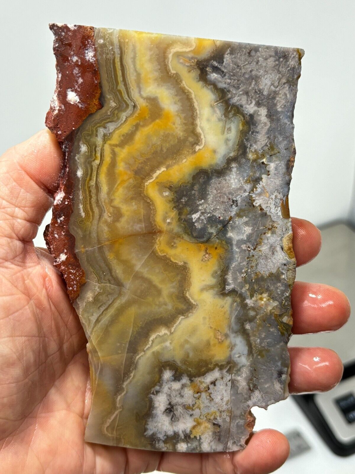 Mexican Flower of Peach Agate Slab Cabbing Lapidary Combo Ship Avail