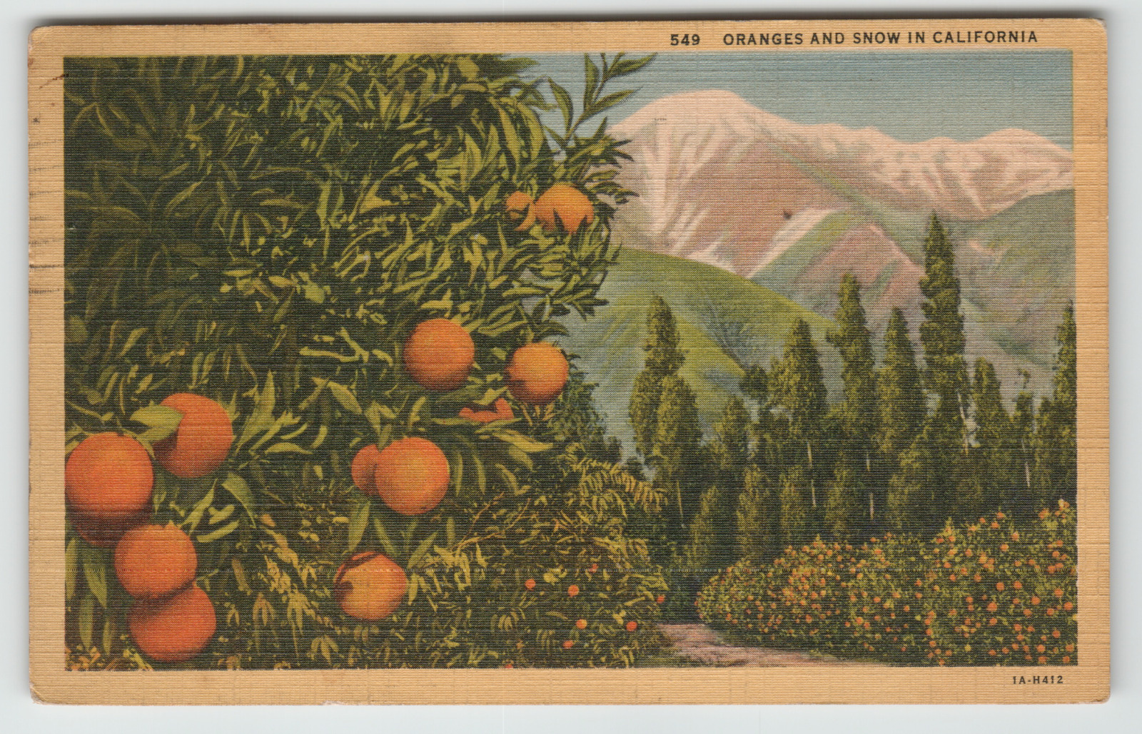 Postcard Oranges and Snow Covered Mountains, CA
