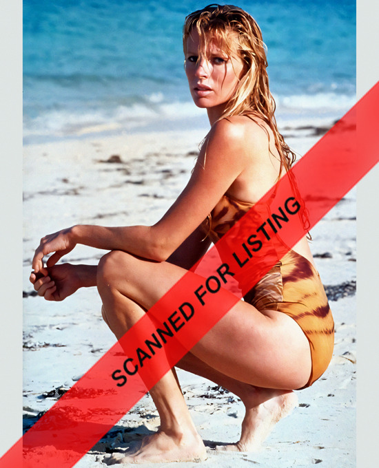 James Bond Girl Kim Basinger in swimsuit 8x10 PHOTO #8906