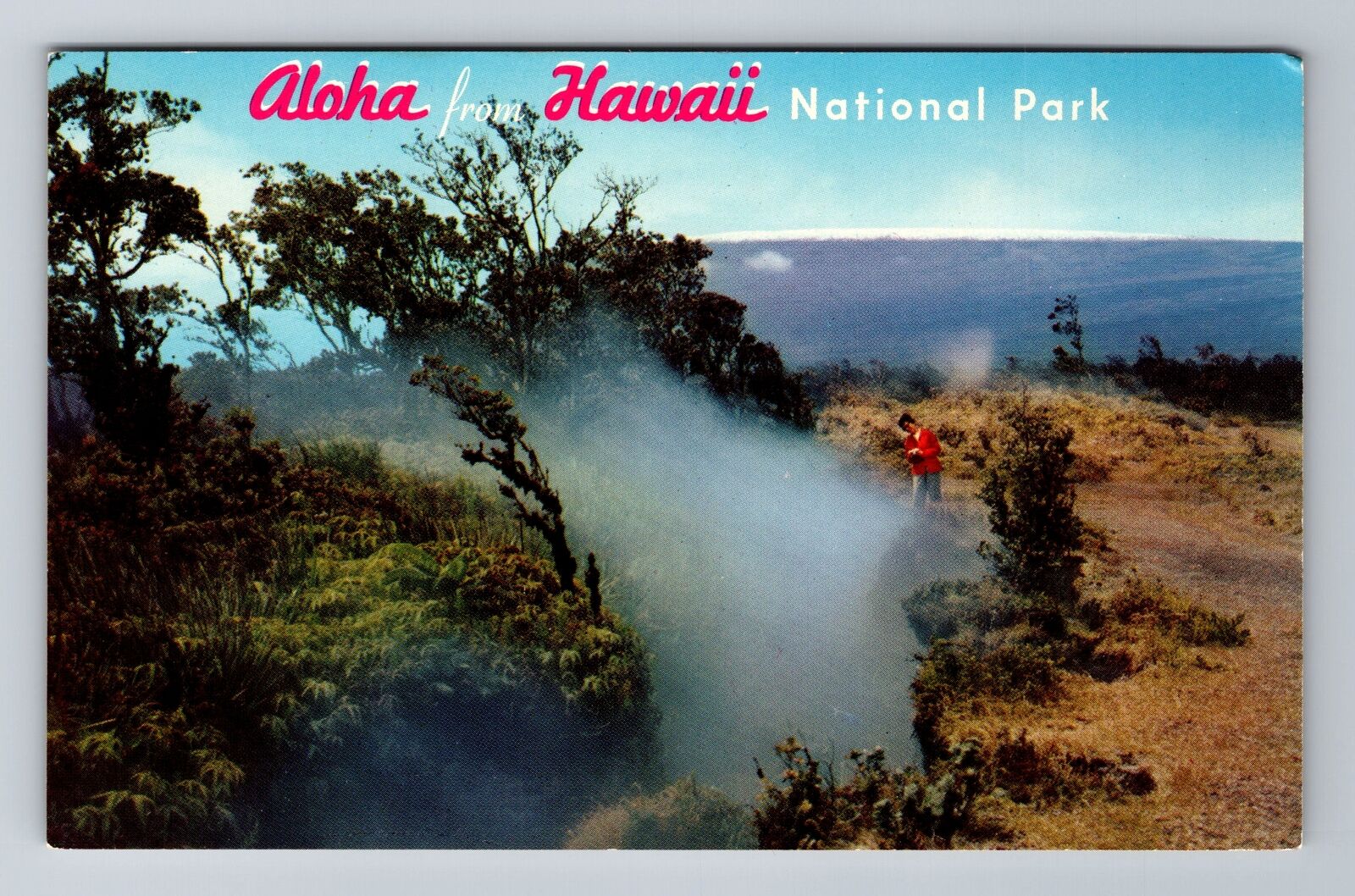 HI-Hawaii, General Greetings, Steam Crack, Antique, Vintage Souvenir Postcard