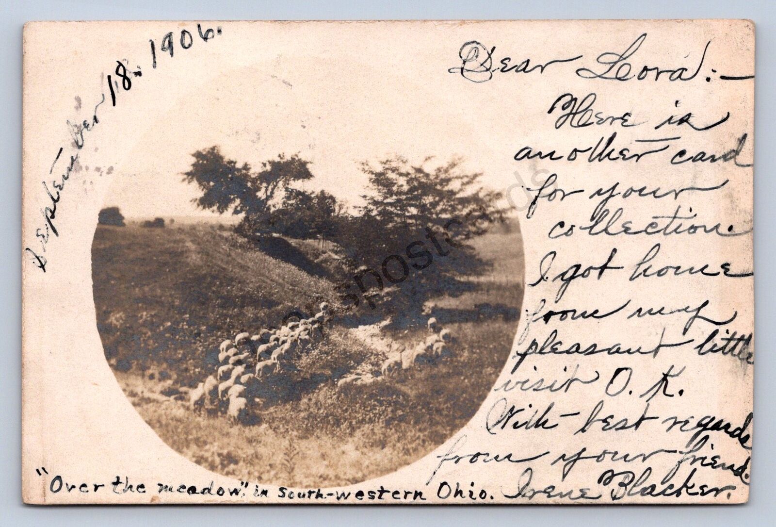 K1/ Shandon Ohio RPPC Postcard c1910 Rare Cancel Meadow Butler County 148