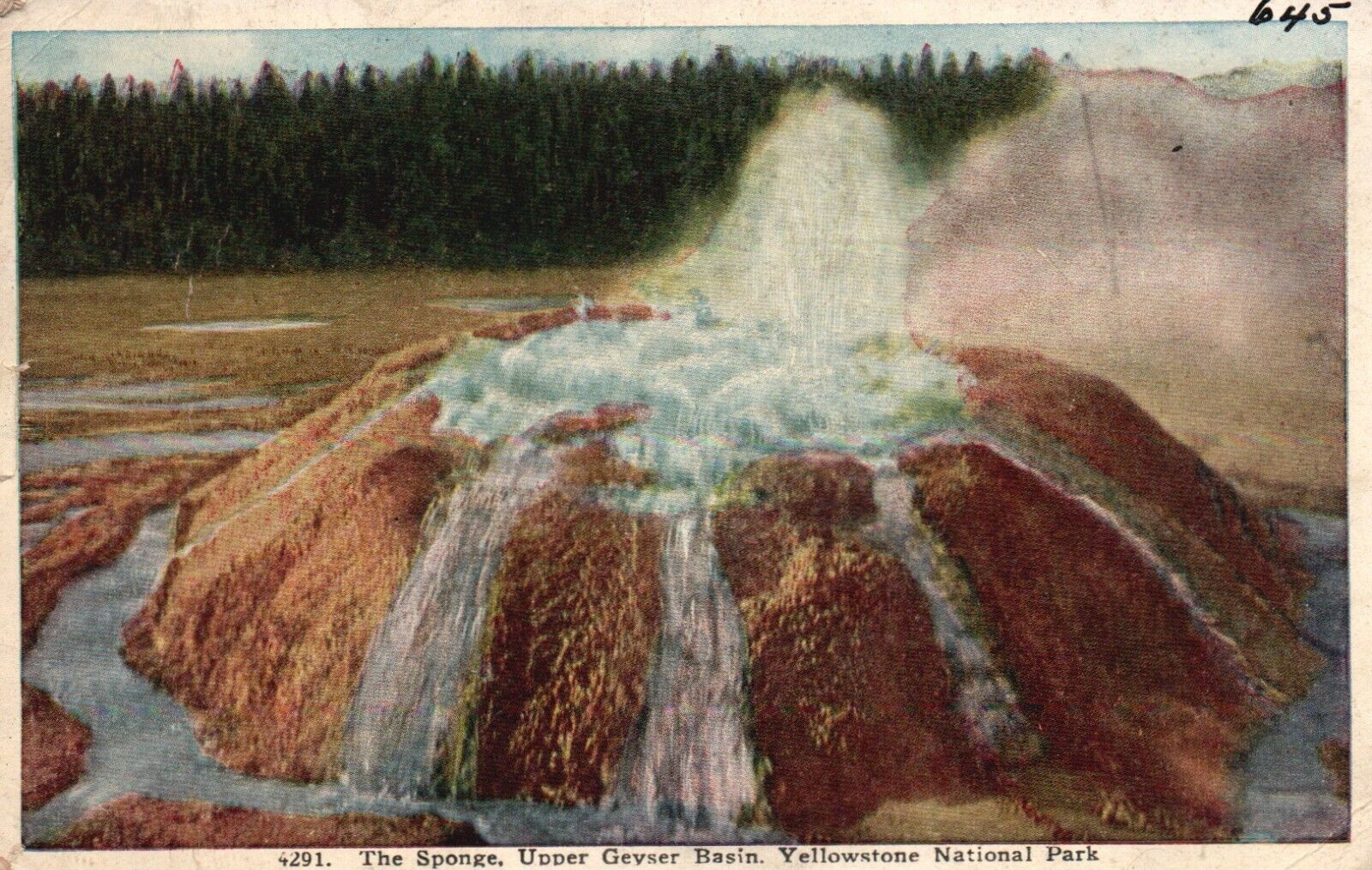 Postcard WY Yellowstone Park The Sponge Upper Geyser Basin Vintage PC H3181