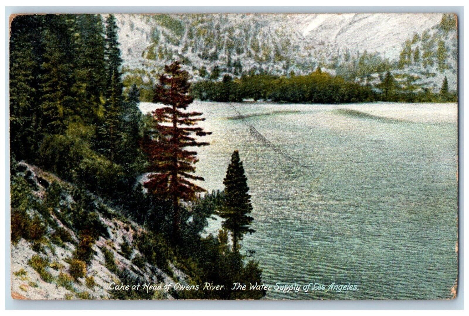 Los Angeles California Postcard Cake Head Owens River Water Supply c1909 Vintage