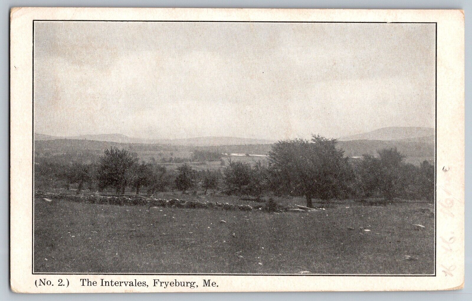 Fryeburg, Maine ME - The Intervales Mountains - Vintage Postcard - Posted