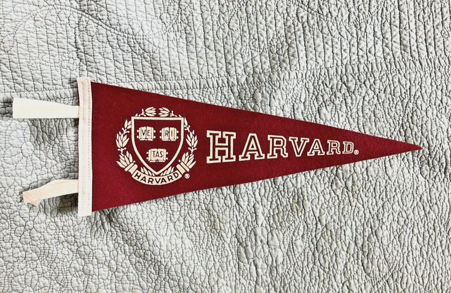 Vintage Harvard University 15\
