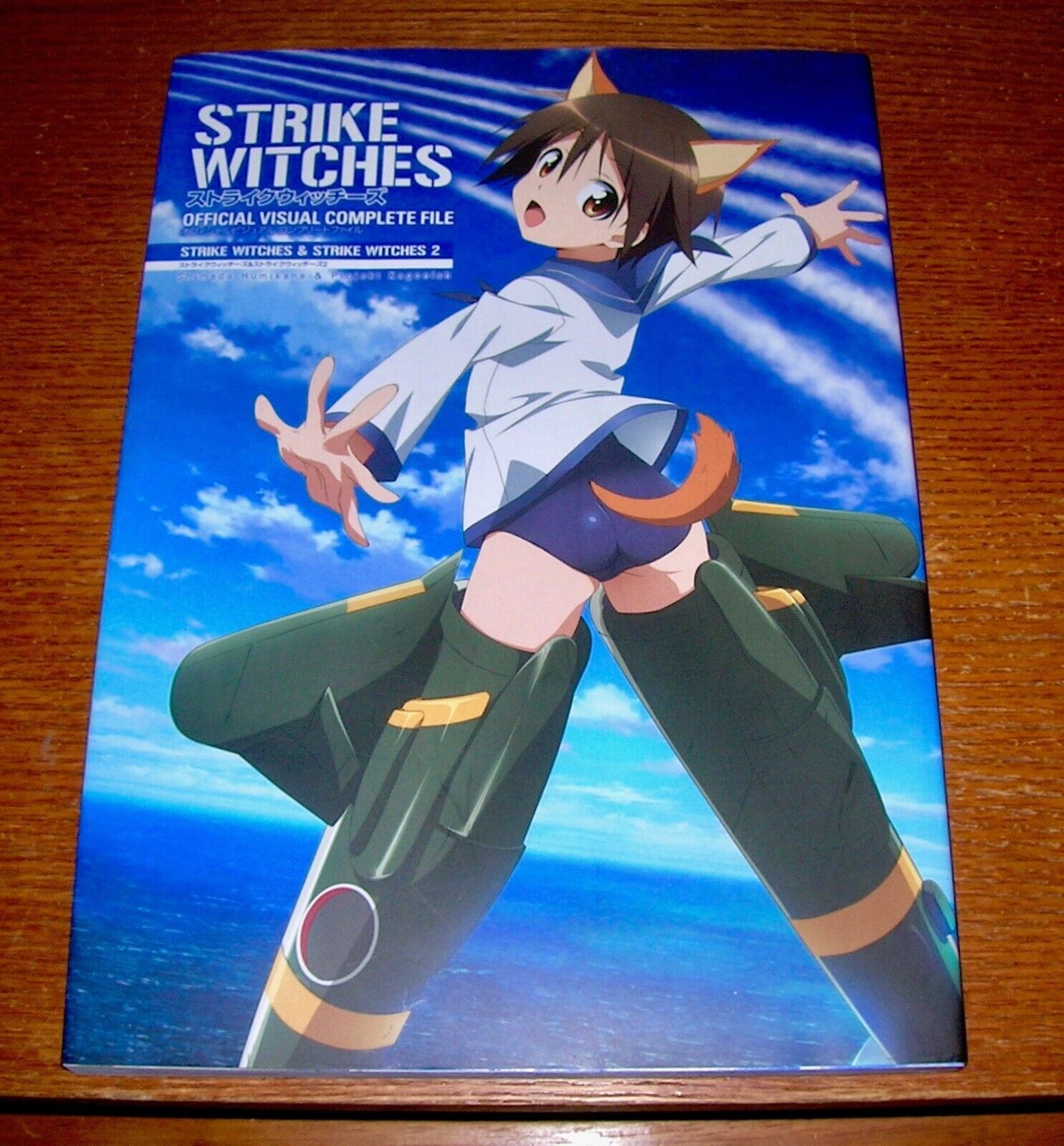 Strike Witches Official Visual Complete File (Book) JAPAN Anime Panty Girlie