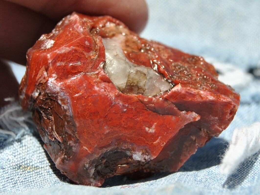 Dinosaur Fossil “Red Ball Express” Jurassic Petrfied Gem Jewelry Stone 50gr-2oz