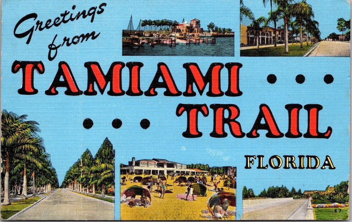 Greetings from Tamiami Trail Florida Multi-view Linen Postcard