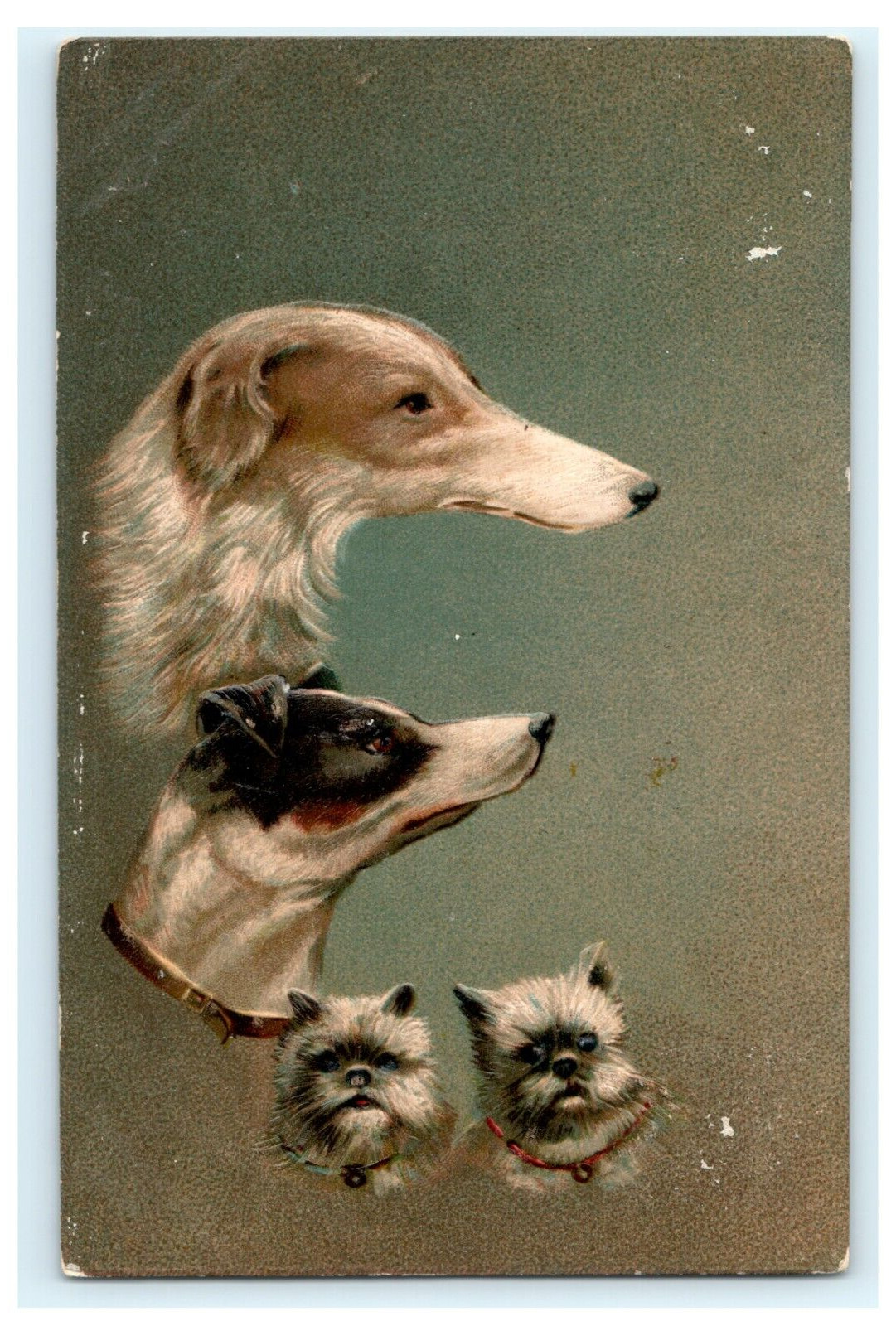 Antique Early Dog Embossed Lovely Postcard