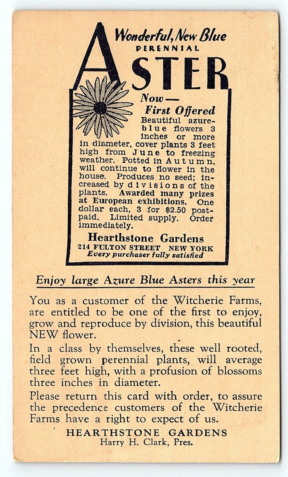 1932 HEARTHSTONE GARDENS WONDERFUL NEW BLUE PERENNIAL ASTER AD POSTCARD P3532