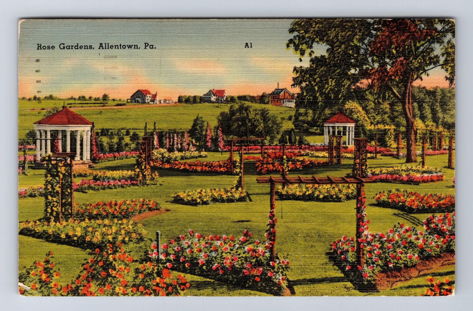 Allentown PA-Pennsylvania, Rose Gardens, Gazebo, Vintage c1944 Postcard