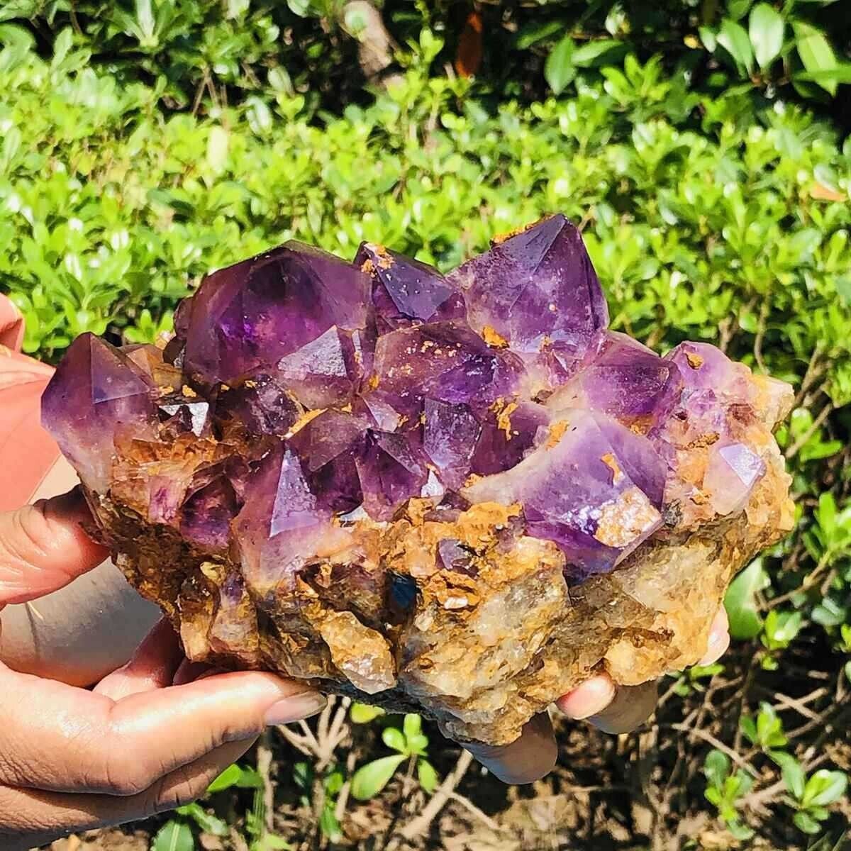 2.64LB Natural Amethyst Cluster Purple Quartz Crystal Rare Mineral Specimen 491