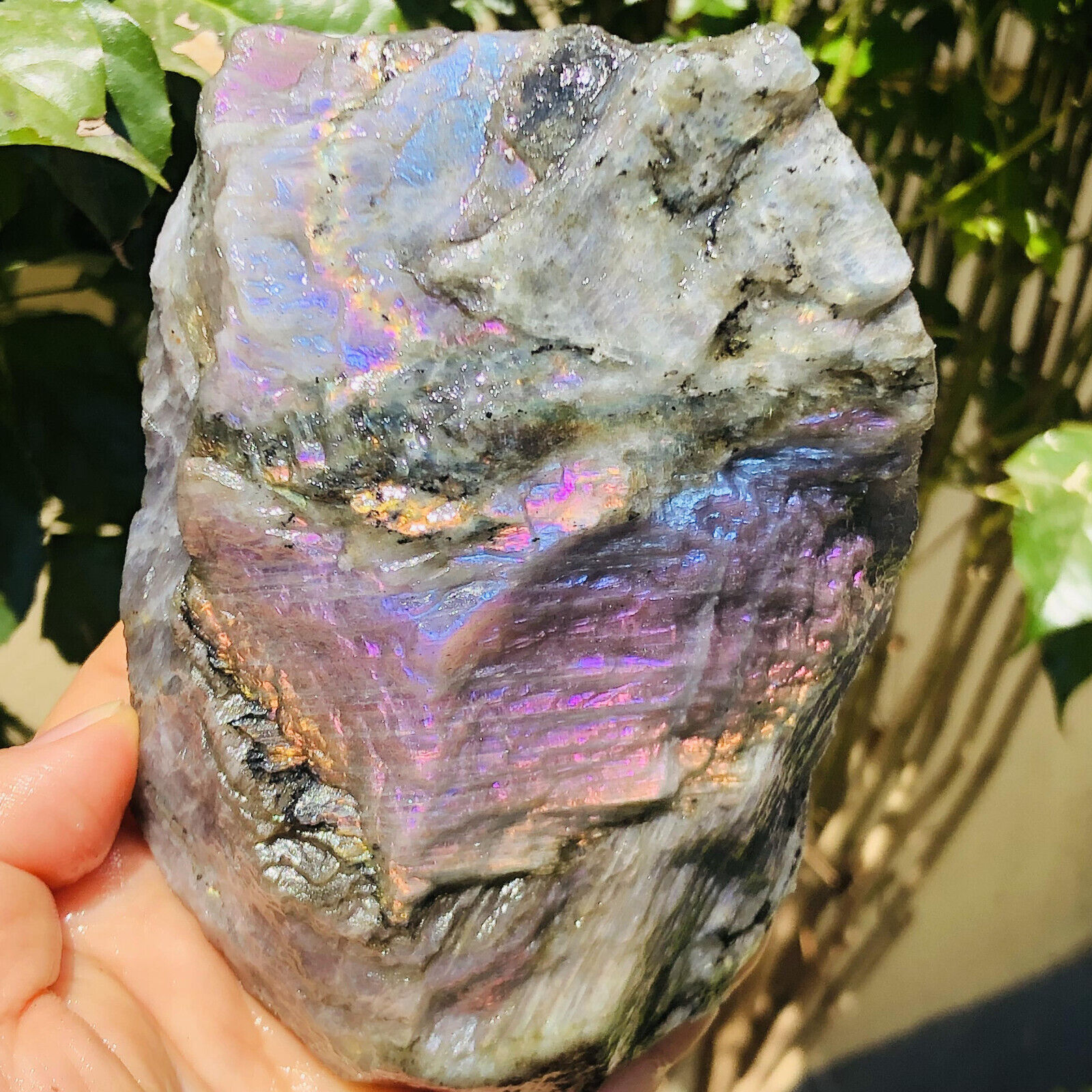 1.61LB  Natural Purple Light Labrador Quartz Crystal Rough Stone Specimens heali