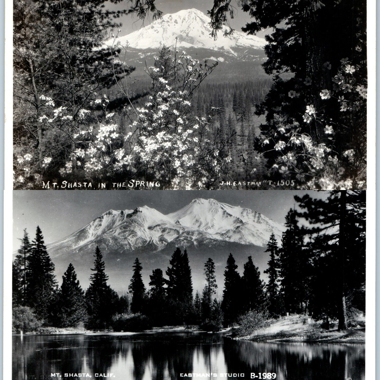 x2 LOT c1950s Siskiyou County CA RPPC Mount Shasta Spring Photos JH Eastman A165