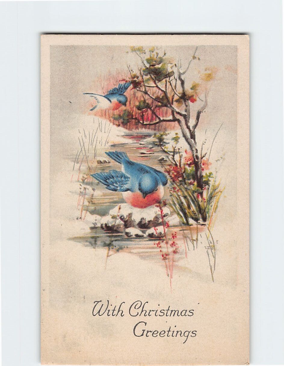 Postcard Birds Art Print With Christmas Greetings