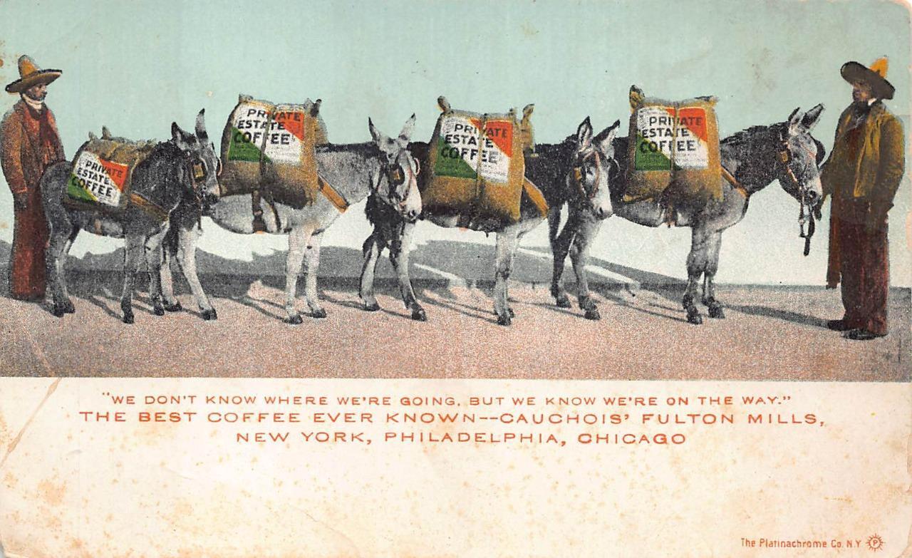 PRIVATE ESTATE COFFEE CAUCHOIS FULTON MILLS ADVERTISING POSTCARD (c. 1905)