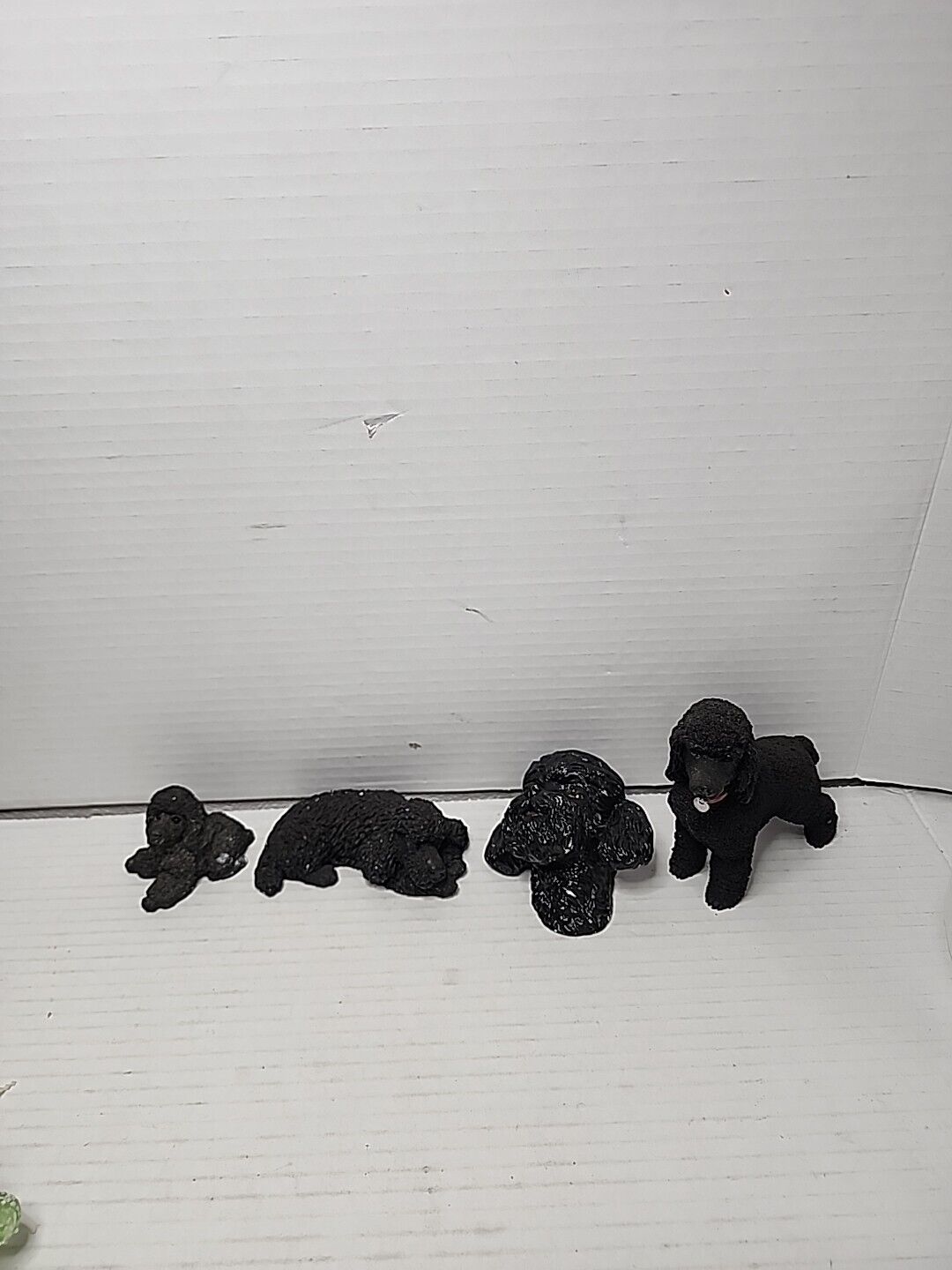 4 Bossons, Living Stone and Others Black Poodles.