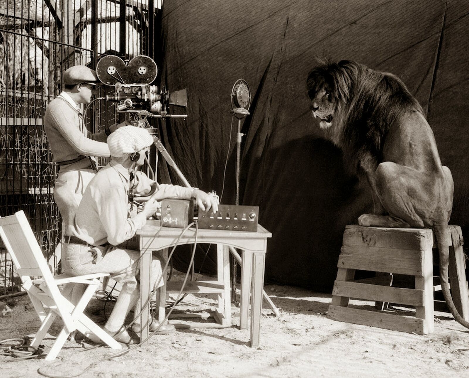 1929 FILMING THE MGM LION Photo  (179-p )