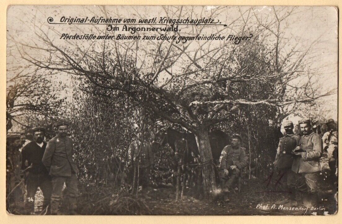 cpa photo stable under the trees Argonne war 14-18