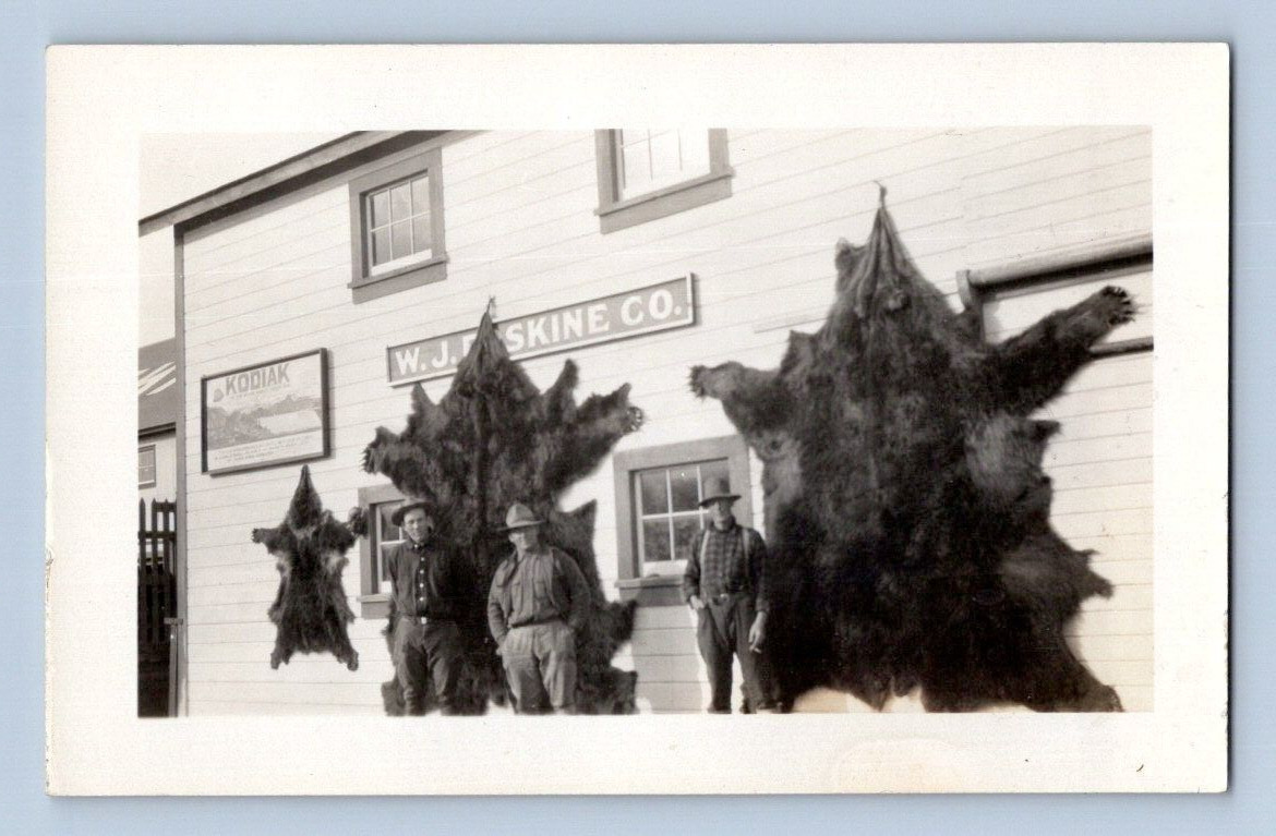 RPPC 1930\'S. KODIAK, ALASKA. W.J. ERSKINE CO. LARGE BEAR FURS. POSTCARD L28
