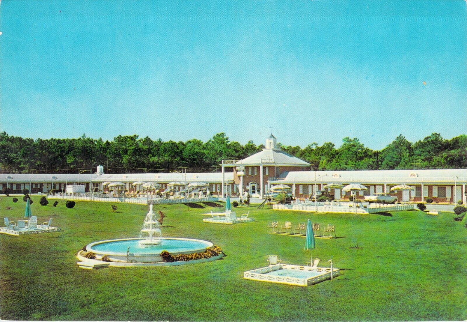 Vtg Postcard Midwood Motel Court Pool Rocky Mount NC 1950s Old Cars US Rte 301