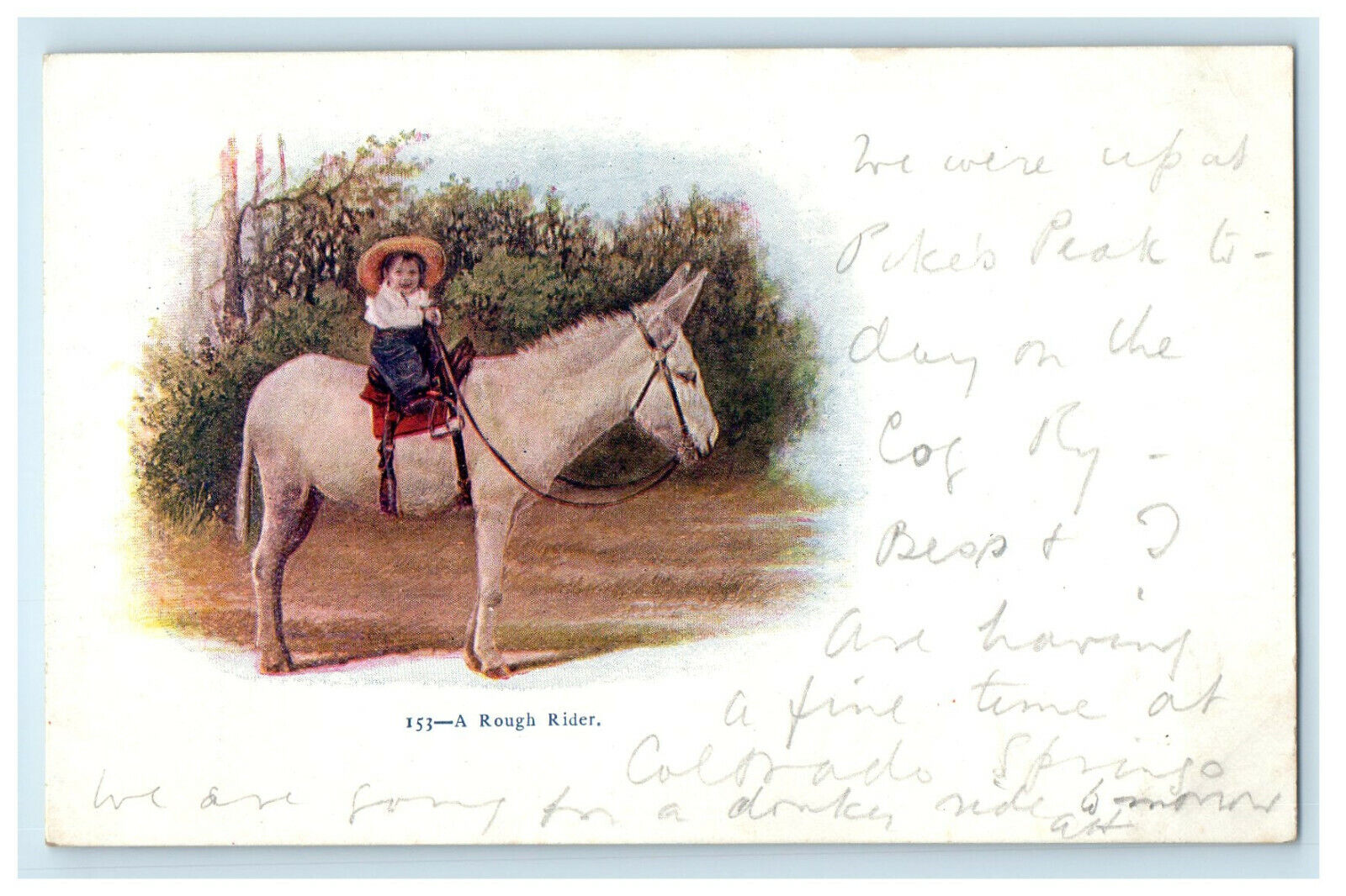 c1905 A Rough Rider, Kid Donkey Back Riding Posted Embossed Postcard