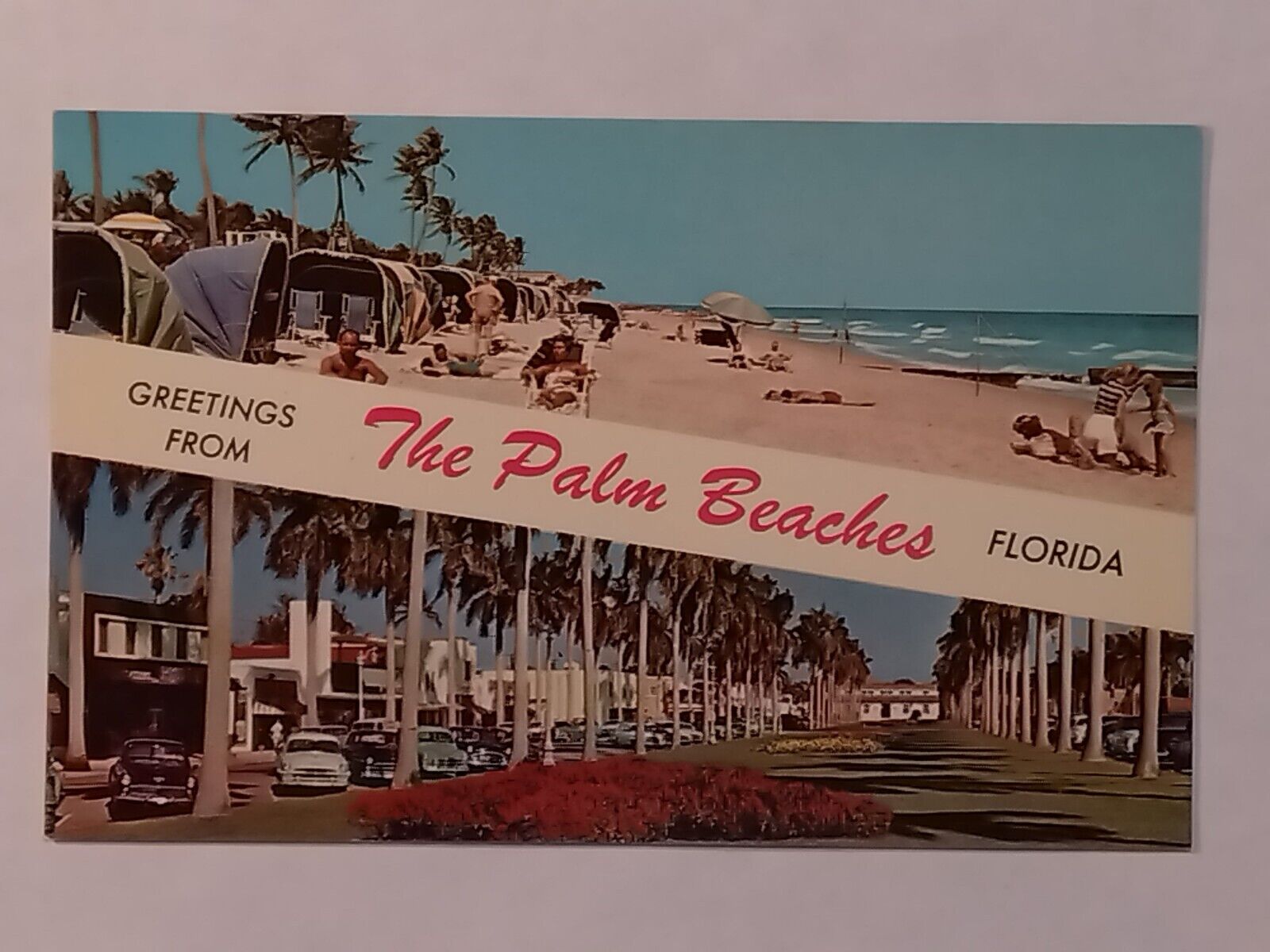 Greetings From Palm Beach Florida Postcard 