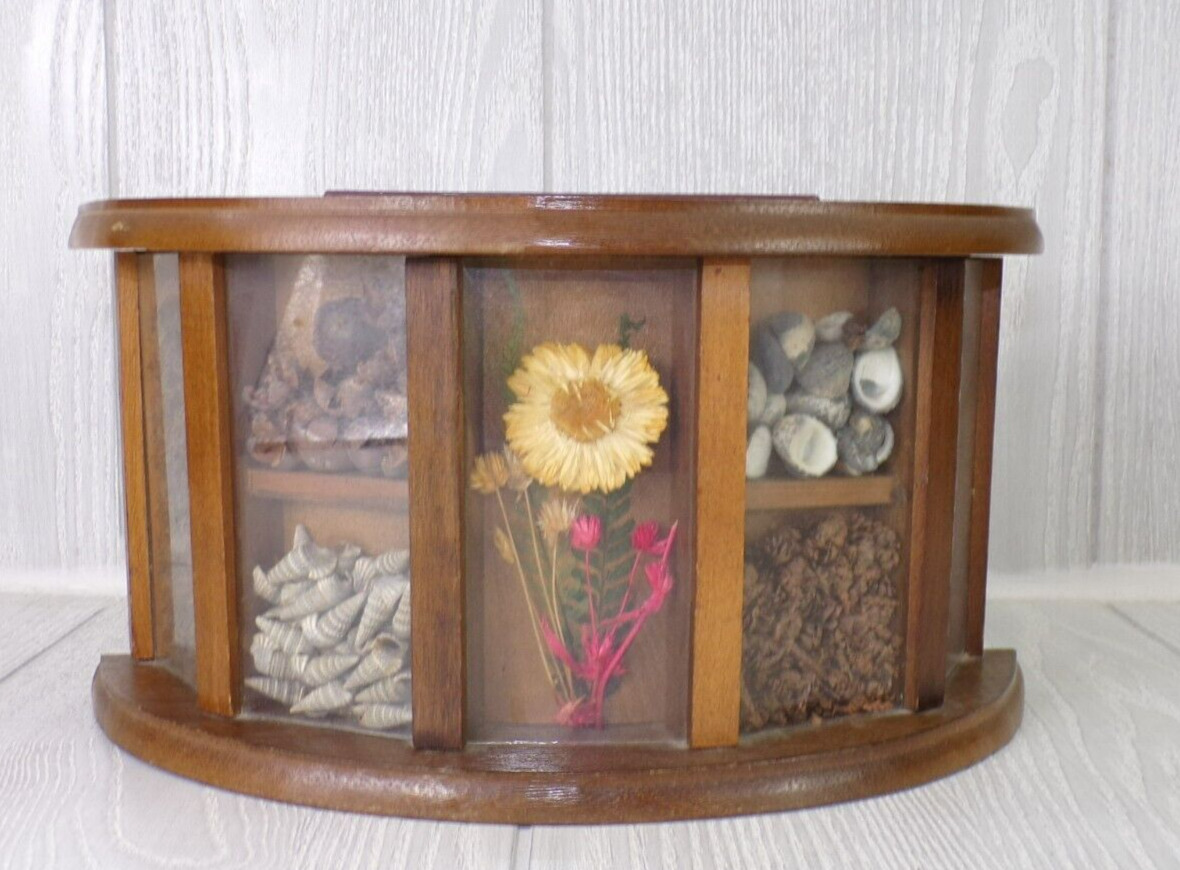 Vintage Retro Wood Shadow Box Nature Plants Apothecary Herb Keeper