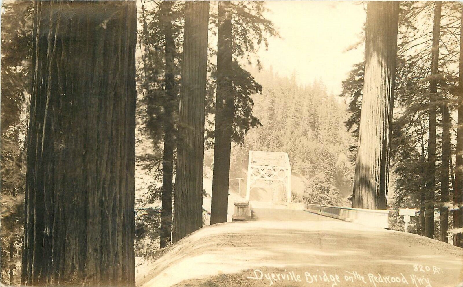 Postcard RPPC California Road Dyerville Bridge Redwood Highway Patterson 32-3286
