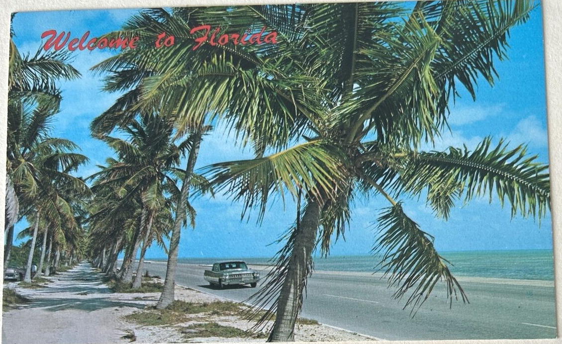Florida Beach Drive 1960s Cars Cadillac Beach Road FL Postcard UNP c1960s