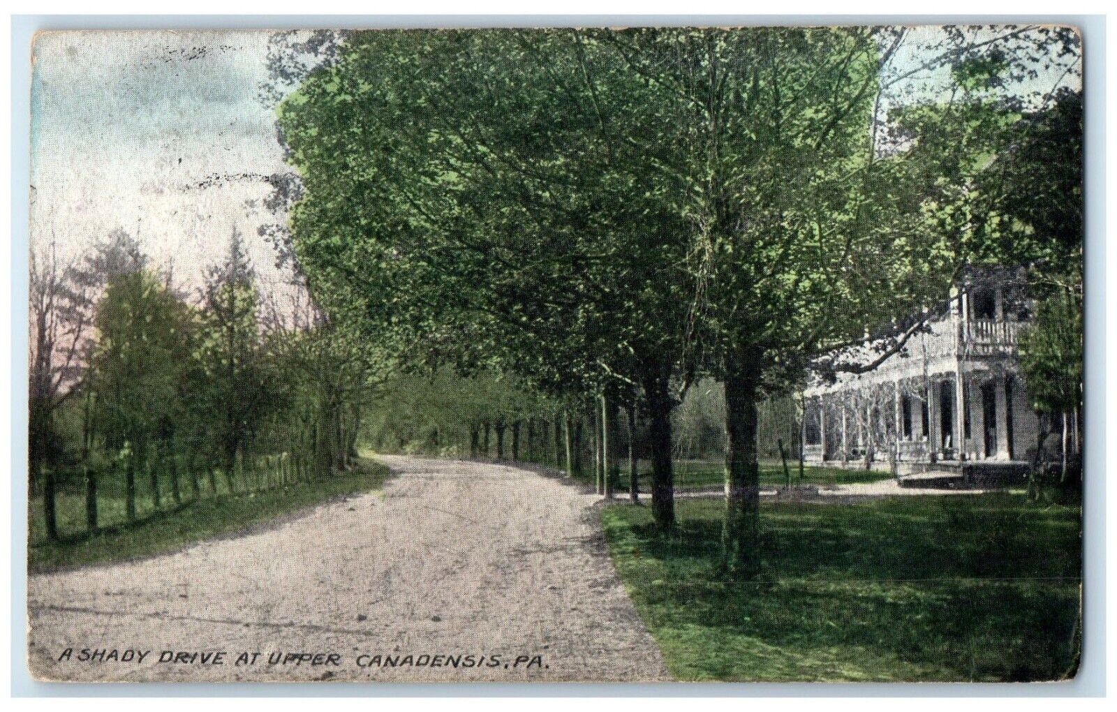 1908 A Shady Drive At Upper Canadensis Pennsylvania PA, Dirt Road Postcard